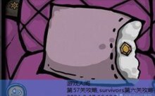 第57关攻略,survivors第六关攻略-游戏人间