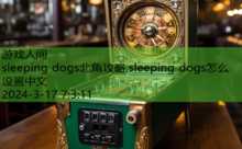 sleeping dogs北角攻略,sleeping dogs怎么设置中文-游戏人间