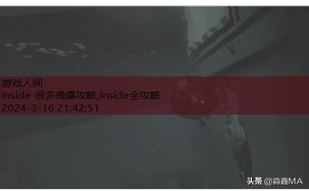 inside水里攻略