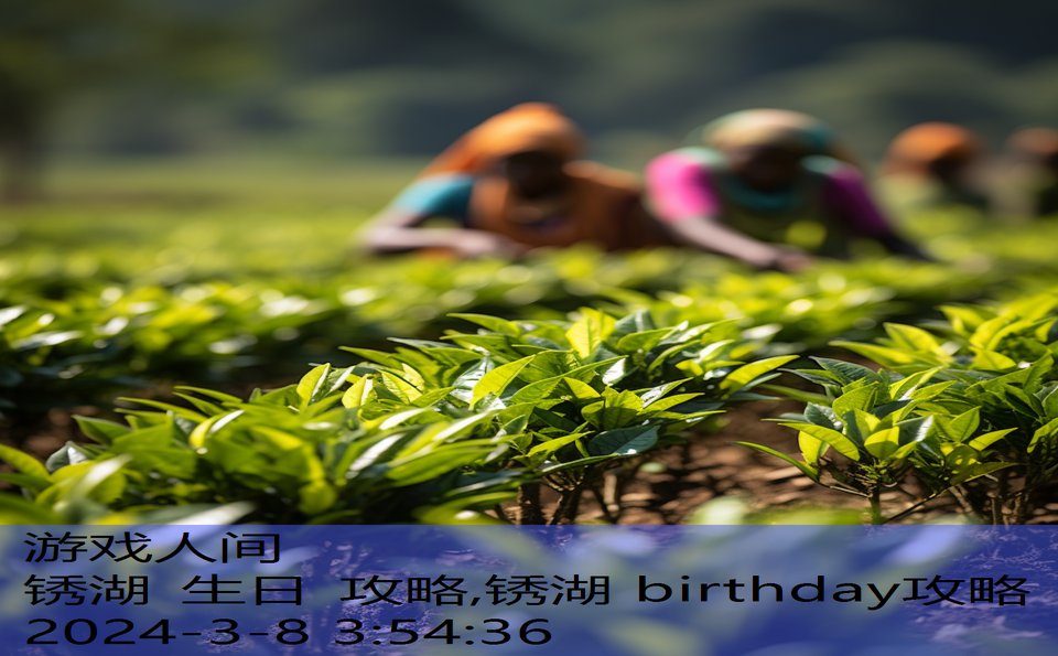 锈湖 生日 攻略,锈湖 birthday攻略