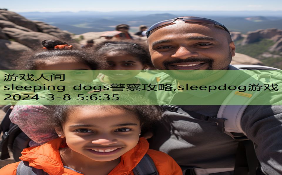 sleeping dogs警察攻略,sleepdog游戏