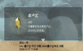 zelda塞尔达传说 攻略