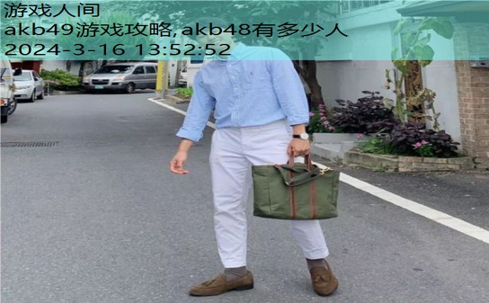 akb/49游戏攻略