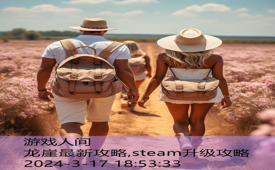 龙崖最新攻略,steam升级攻略