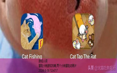 户外游戏老猫找小猫