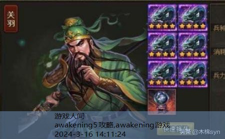 新的觉醒awakening攻略