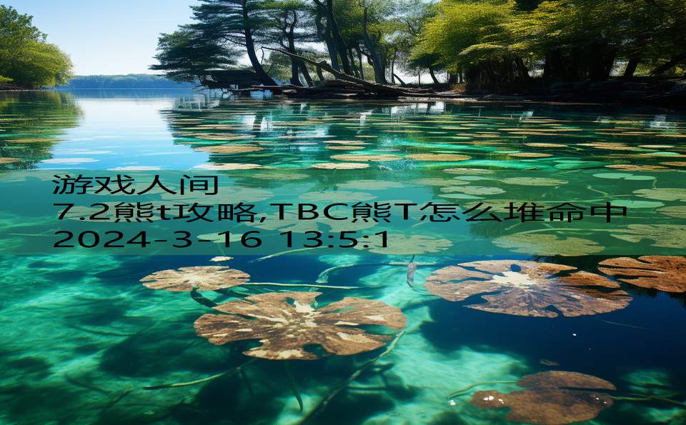 7.2熊t攻略,TBC熊T怎么堆命中