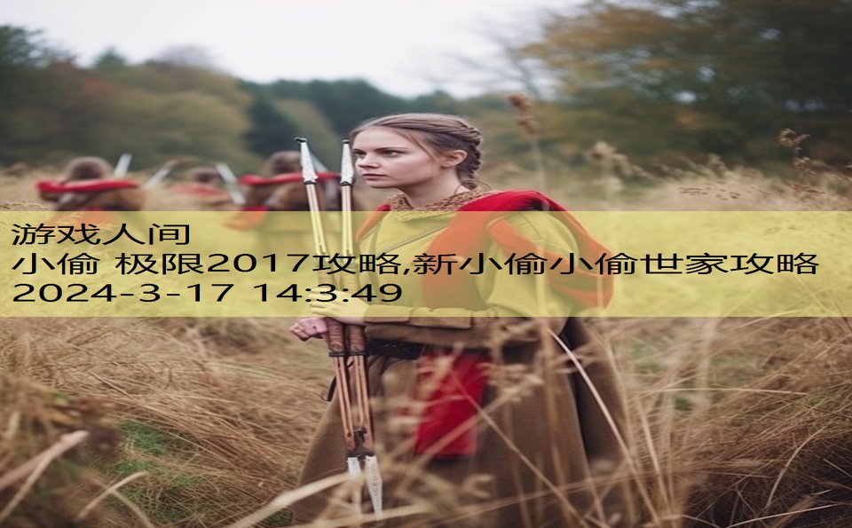 小偷 极限2017攻略,新小偷小偷世家攻略