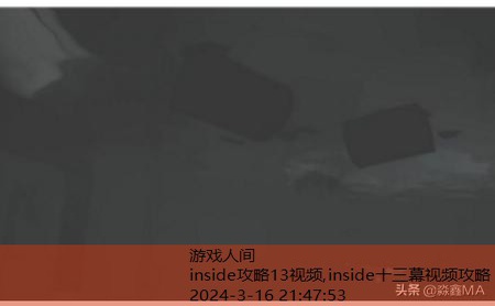 inside水里攻略