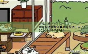 猫咪后院攻略场景