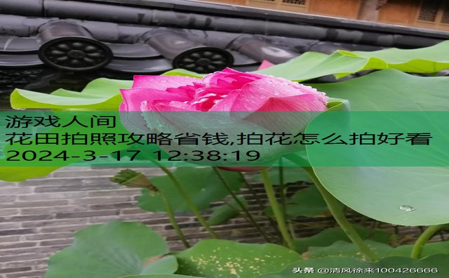 拍花怎么拍好看