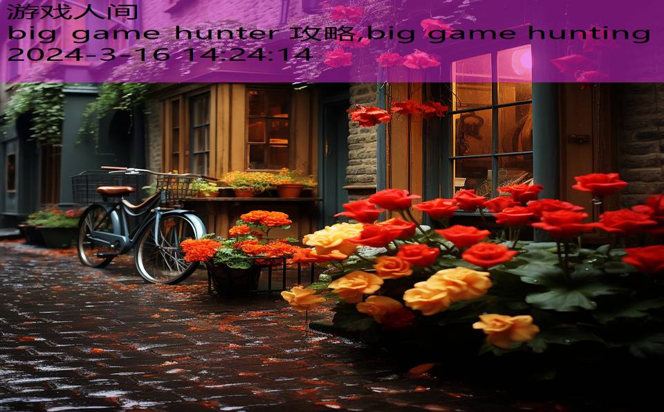 big game hunter 攻略,big game hunting