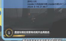 inside小鸡视频攻略,inside攻略20个人-游戏人间