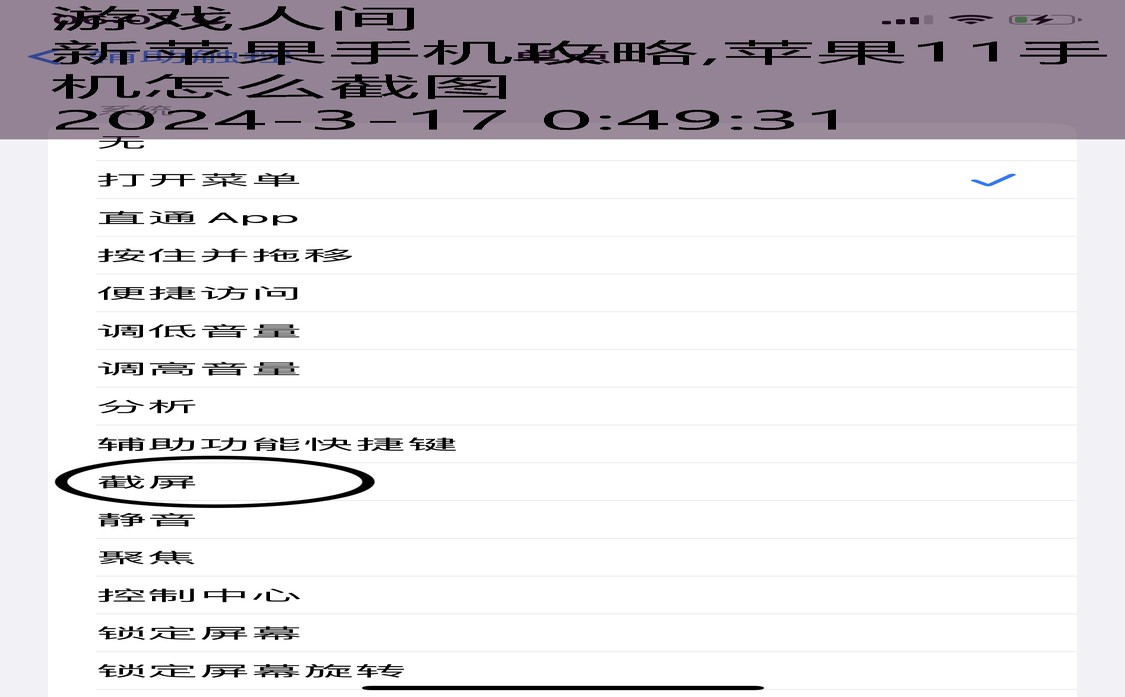 苹果11手机怎么截图