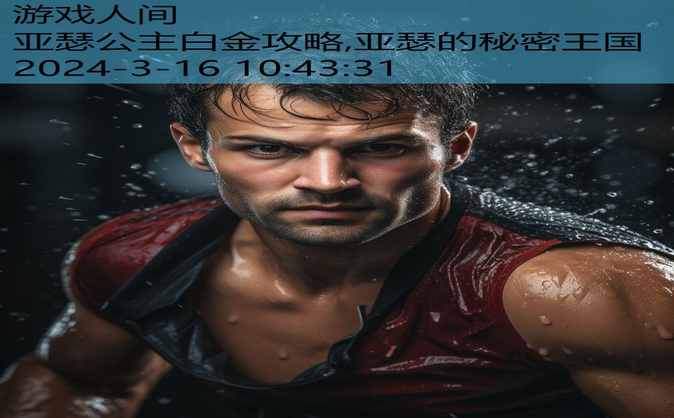 亚瑟公主白金攻略,亚瑟的秘密王国