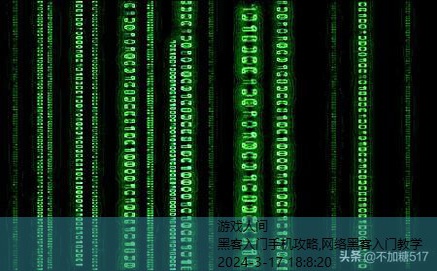 什么是黑客技术入门