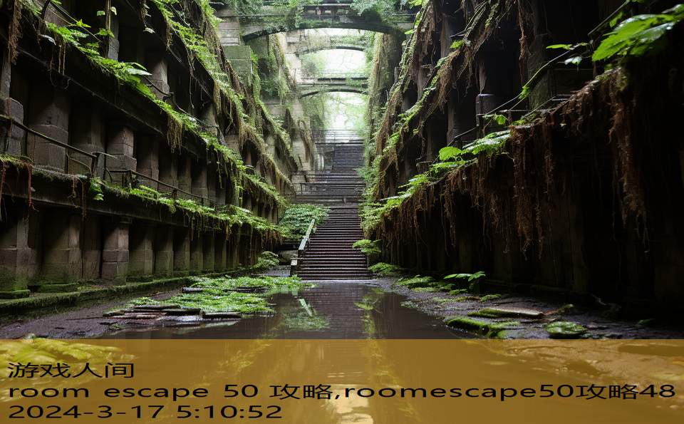 room escape 50 攻略,roomescape50攻略48