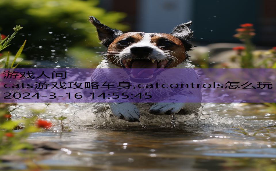 cats游戏攻略车身,catcontrols怎么玩