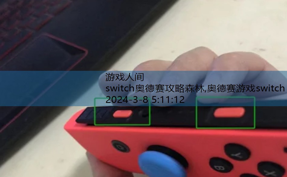 switch大乱斗怎么双人