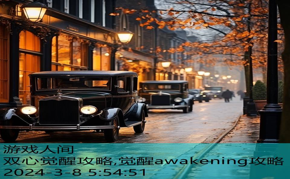 双心觉醒攻略,觉醒awakening攻略