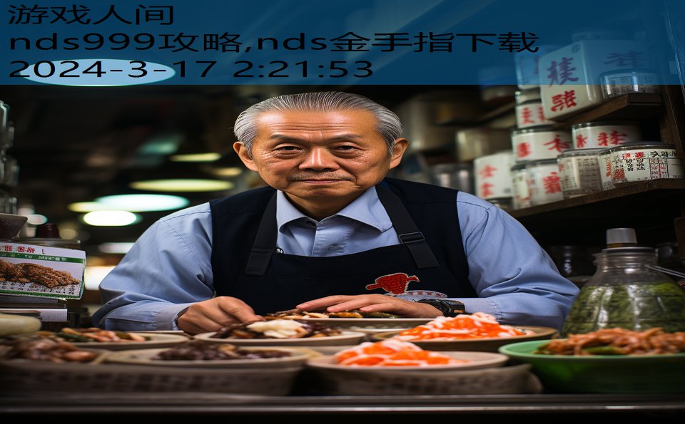 nds999攻略,nds金手指下载