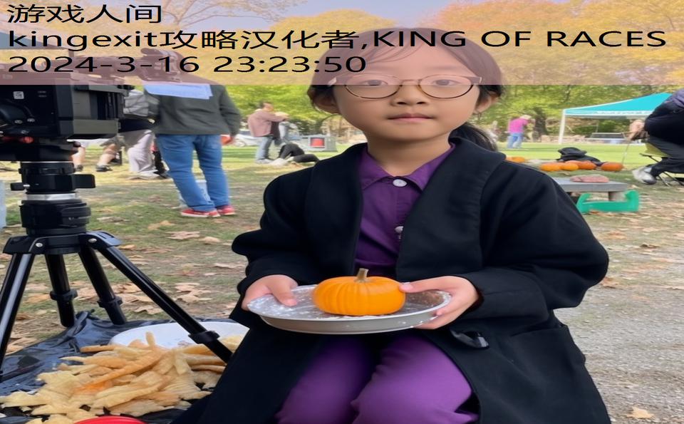kingexit攻略汉化者,KING OF RACES