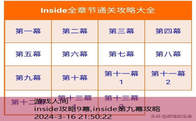 inside攻略9幕