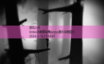 limbo攻略40图全部