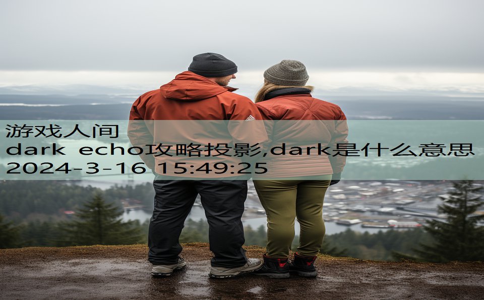 dark echo攻略投影,dark是什么意思