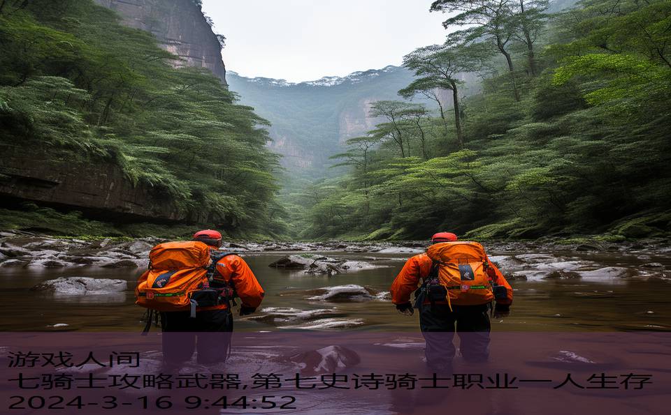 七骑士攻略武器,第七史诗骑士职业一人生存