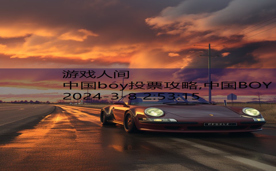 中国boy投票攻略,中国BOY