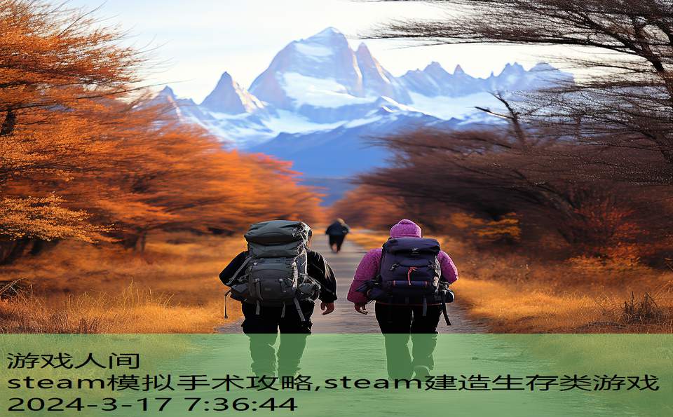 steam模拟手术攻略,steam建造生存类游戏