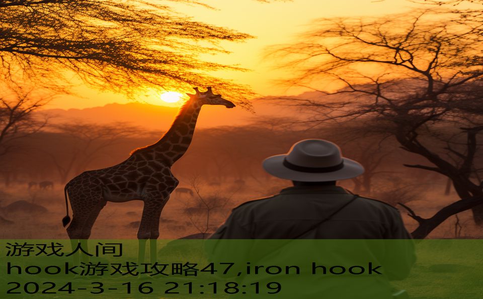 hook游戏攻略47,iron hook