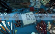 the forest寻找攻略,the forest地图在哪里获得-游戏人间