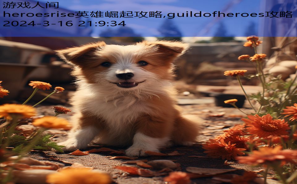 heroesrise英雄崛起攻略,guildofheroes攻略