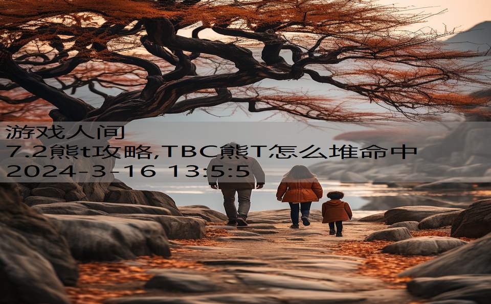 7.2熊t攻略,TBC熊T怎么堆命中