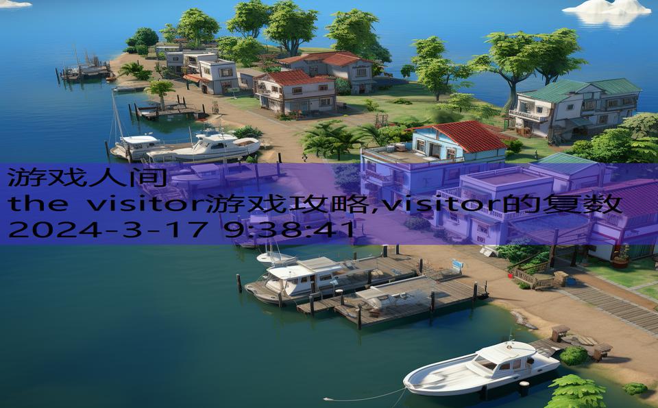 the visitor游戏攻略,visitor的复数