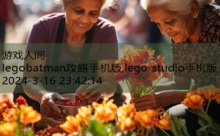 legobatman攻略手机版,lego studio手机版-游戏人间