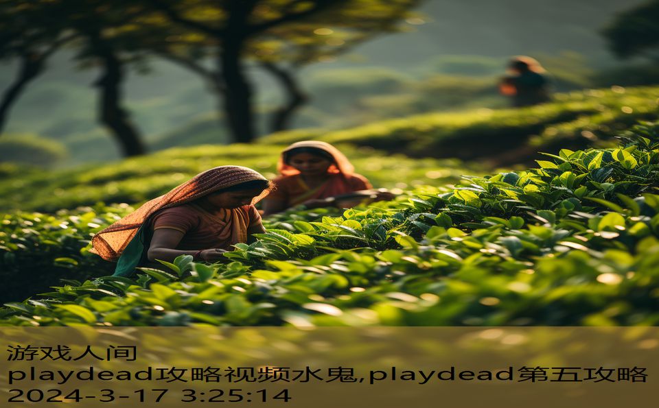 playdead攻略视频水鬼,playdead第五攻略