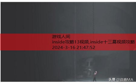 inside水里攻略