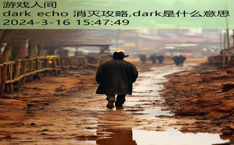 dark echo 消灭攻略,dark是什么意思