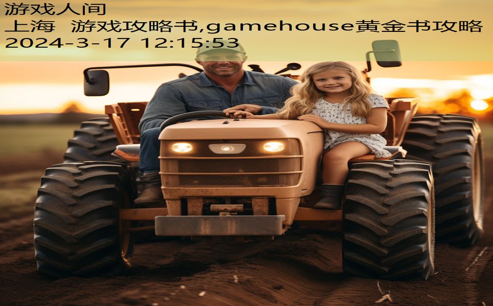 上海 游戏攻略书,gamehouse黄金书攻略