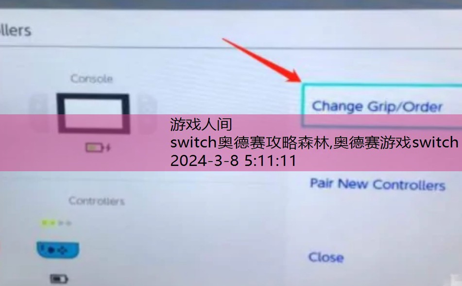 switch大乱斗怎么双人