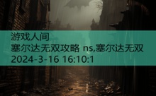 塞尔达无双攻略 ns,塞尔达无双-游戏人间