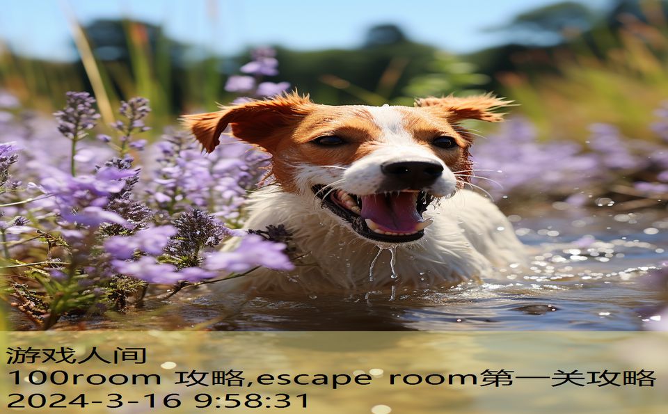 100room 攻略,escape room第一关攻略