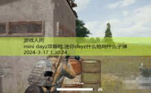 mini dayz攻略枪,迷你dayz什么枪用什么子弹-游戏人间