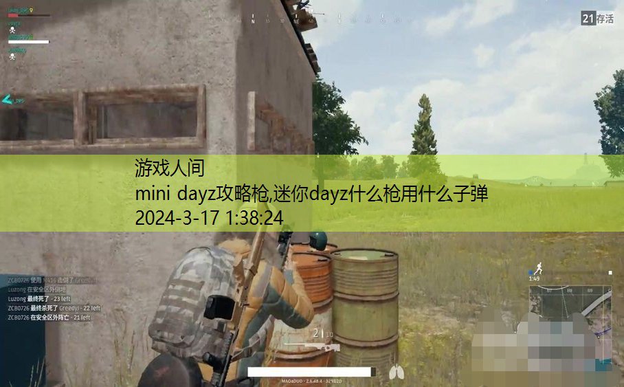 迷你dayz什么枪用什么子弹