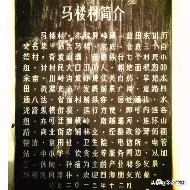 善人道是什么组织