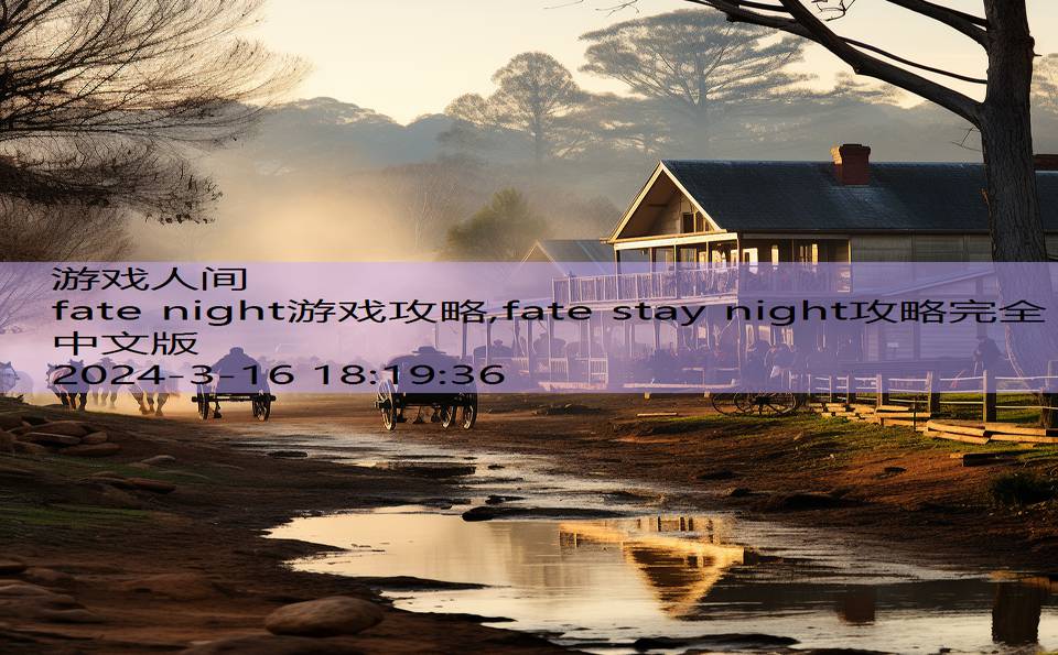 fate night游戏攻略,fate stay night攻略完全中文版