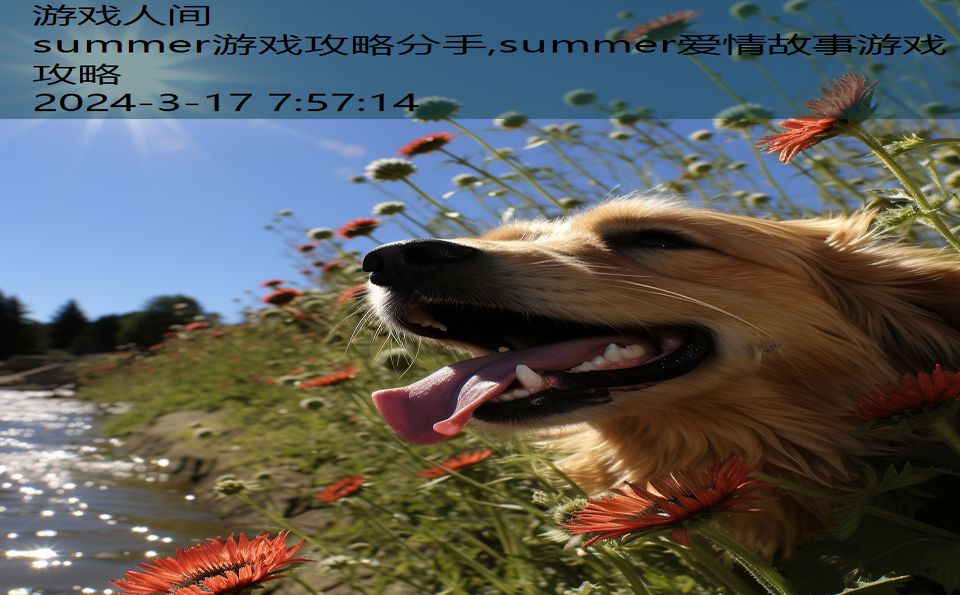 summer游戏攻略分手,summer爱情故事游戏攻略